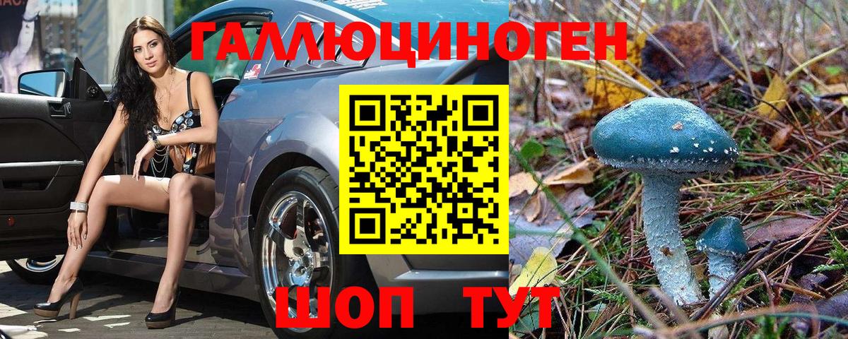 Псилоцибиновые грибы мухоморы Октябрьский