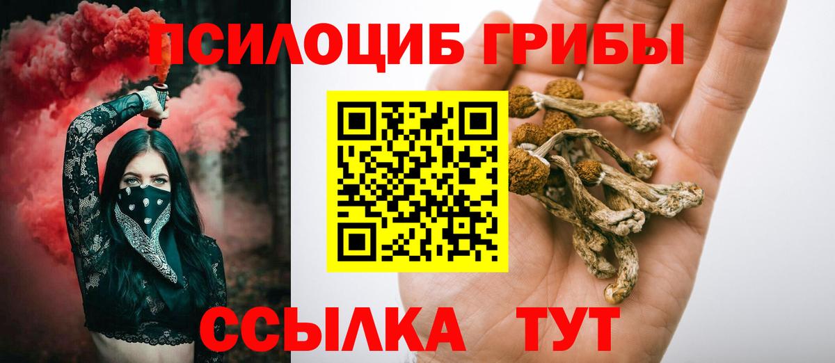 Псилоцибиновые грибы мицелий  Вход с VPN  как найти   Октябрьский  Псилоцибиновые грибы мухоморы 